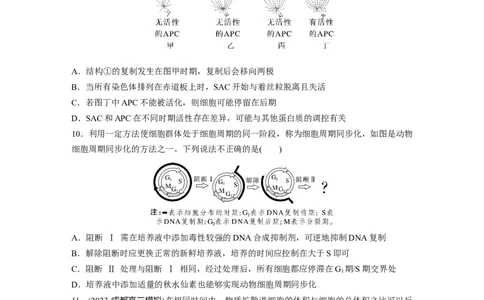 第四单元课时练19细胞的增殖_2025年新高考资料_一轮复习_2025大一轮复习讲义+课件（完结）_2025大一轮复习讲义生物学生用书Word版文档整书_2025一轮复习73练