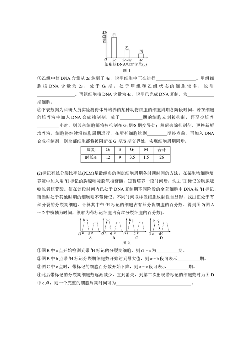 第四单元课时练19细胞的增殖_2025年新高考资料_一轮复习_2025大一轮复习讲义+课件（完结）_2025大一轮复习讲义生物学生用书Word版文档整书_2025一轮复习73练
