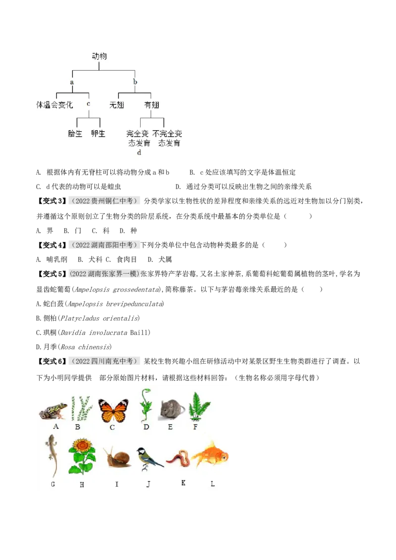 专题03生物的特征及分类（原卷版）_6生物中考复习_2023年中考复习资料_专项复习_2023年中考生物总复习真题探究与变式训练（全国通用）