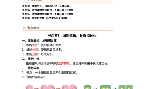 专题03细胞怎样构成生物体（背记帮）-备战2024年中考生物一轮复习考点帮_6生物中考复习_2024年中考复习资料_一轮复习资料_❤备战2024年中考生物一轮复习考点帮（全国通用）_必背考点