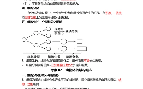专题03细胞怎样构成生物体（背记帮）-备战2024年中考生物一轮复习考点帮_6生物中考复习_2024年中考复习资料_一轮复习资料_❤备战2024年中考生物一轮复习考点帮（全国通用）_必背考点