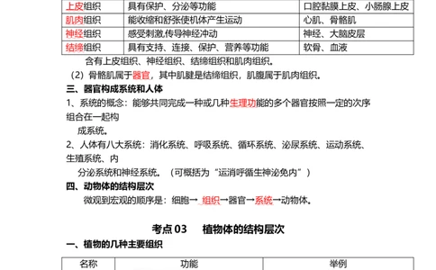 专题03细胞怎样构成生物体（背记帮）-备战2024年中考生物一轮复习考点帮_6生物中考复习_2024年中考复习资料_一轮复习资料_❤备战2024年中考生物一轮复习考点帮（全国通用）_必背考点