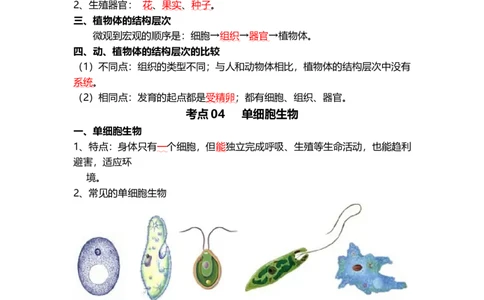 专题03细胞怎样构成生物体（背记帮）-备战2024年中考生物一轮复习考点帮_6生物中考复习_2024年中考复习资料_一轮复习资料_❤备战2024年中考生物一轮复习考点帮（全国通用）_必背考点