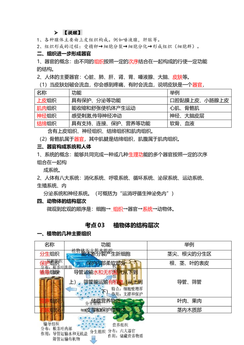 专题03细胞怎样构成生物体（背记帮）-备战2024年中考生物一轮复习考点帮_6生物中考复习_2024年中考复习资料_一轮复习资料_❤备战2024年中考生物一轮复习考点帮（全国通用）_必背考点