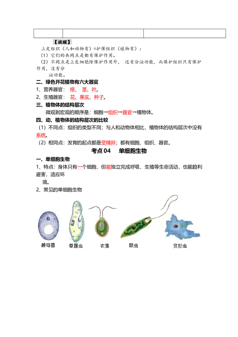 专题03细胞怎样构成生物体（背记帮）-备战2024年中考生物一轮复习考点帮_6生物中考复习_2024年中考复习资料_一轮复习资料_❤备战2024年中考生物一轮复习考点帮（全国通用）_必背考点