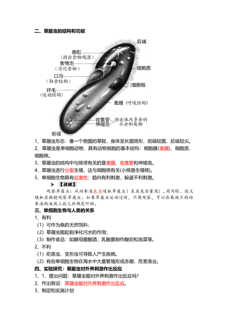 专题03细胞怎样构成生物体（背记帮）-备战2024年中考生物一轮复习考点帮_6生物中考复习_2024年中考复习资料_一轮复习资料_❤备战2024年中考生物一轮复习考点帮（全国通用）_必背考点