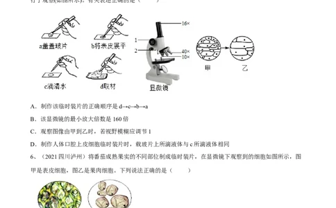 专题02细胞是生命活动的基本单位（原卷版）_6生物中考复习_2023年中考复习资料_一轮复习_2023年中考生物一轮复习讲练测