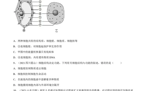 专题02细胞是生命活动的基本单位（原卷版）_6生物中考复习_2023年中考复习资料_一轮复习_2023年中考生物一轮复习讲练测
