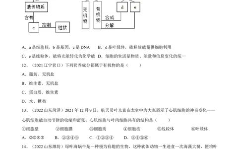 专题02细胞是生命活动的基本单位（原卷版）_6生物中考复习_2023年中考复习资料_一轮复习_2023年中考生物一轮复习讲练测