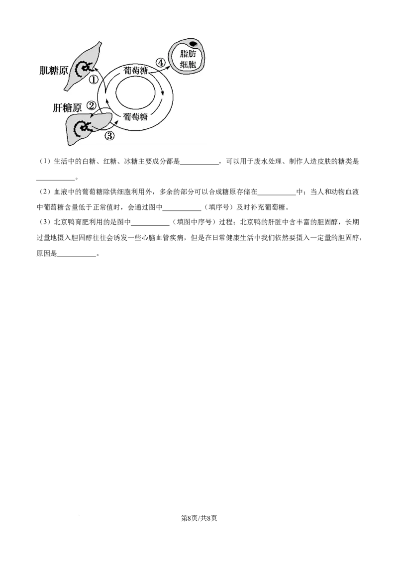 精品解析：安徽省蚌埠市A层高中2025-2026学年高一上学期第一次联考生物试题（原卷版）_2025年10月高一试卷_251013安徽省蚌埠市A层高中2025-2026学年高一上学期10月月考