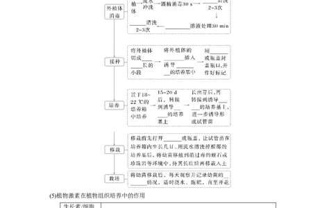 第十单元　第58课时　植物细胞工程_2025年新高考资料_一轮复习_2025大一轮复习讲义+课件（完结）_2025大一轮复习讲义生物学生用书Word版文档整书_2025大一轮复习讲义