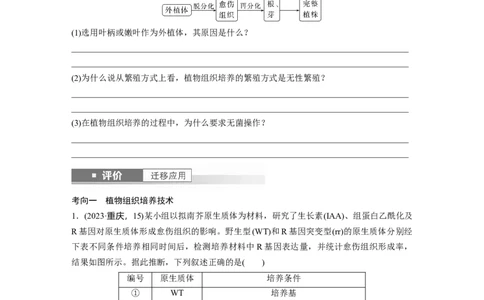 第十单元　第58课时　植物细胞工程_2025年新高考资料_一轮复习_2025大一轮复习讲义+课件（完结）_2025大一轮复习讲义生物学生用书Word版文档整书_2025大一轮复习讲义