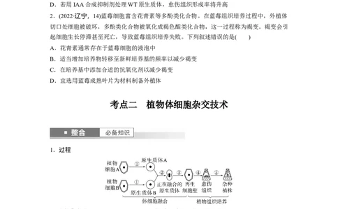 第十单元　第58课时　植物细胞工程_2025年新高考资料_一轮复习_2025大一轮复习讲义+课件（完结）_2025大一轮复习讲义生物学生用书Word版文档整书_2025大一轮复习讲义