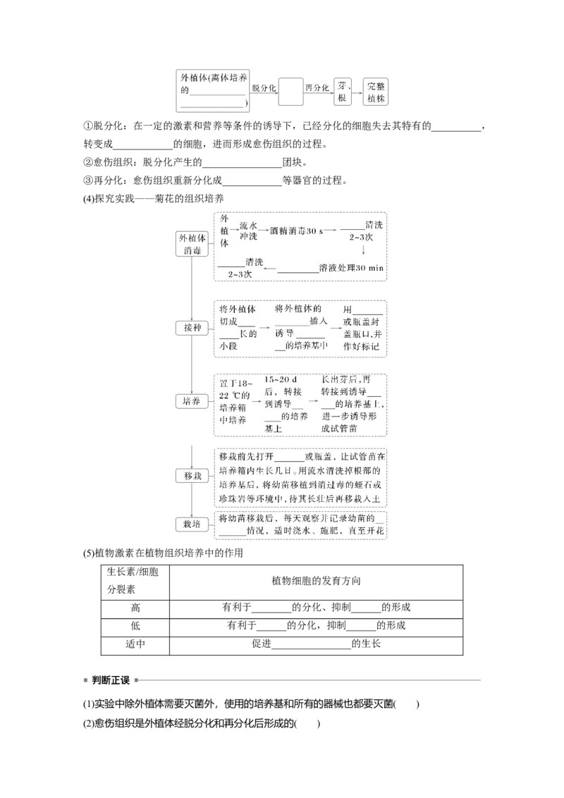 第十单元　第58课时　植物细胞工程_2025年新高考资料_一轮复习_2025大一轮复习讲义+课件（完结）_2025大一轮复习讲义生物学生用书Word版文档整书_2025大一轮复习讲义