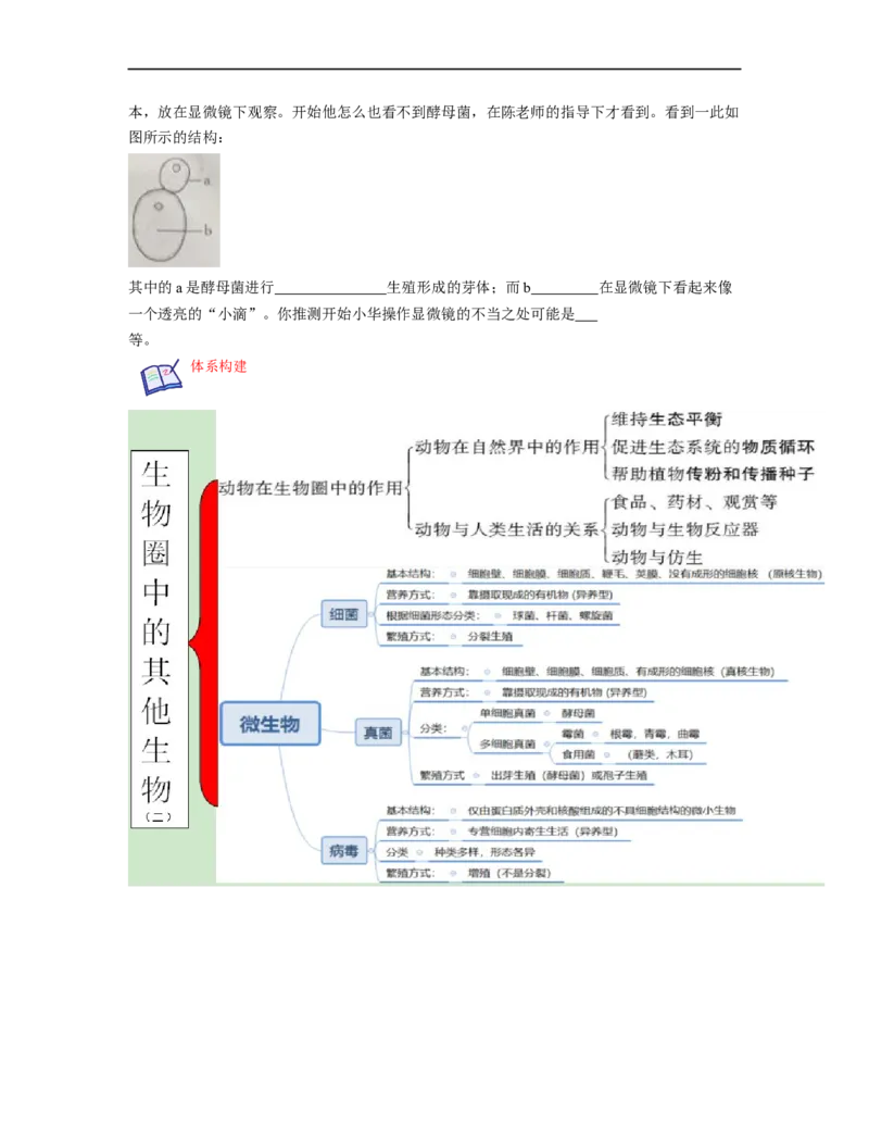 专题05生物圈中的其他生物（二）背诵清单+跟踪训练（学生版）_6生物中考复习_2023年中考复习资料_一轮复习_2023年中考生物一轮大单元复习过过过（全国通用）