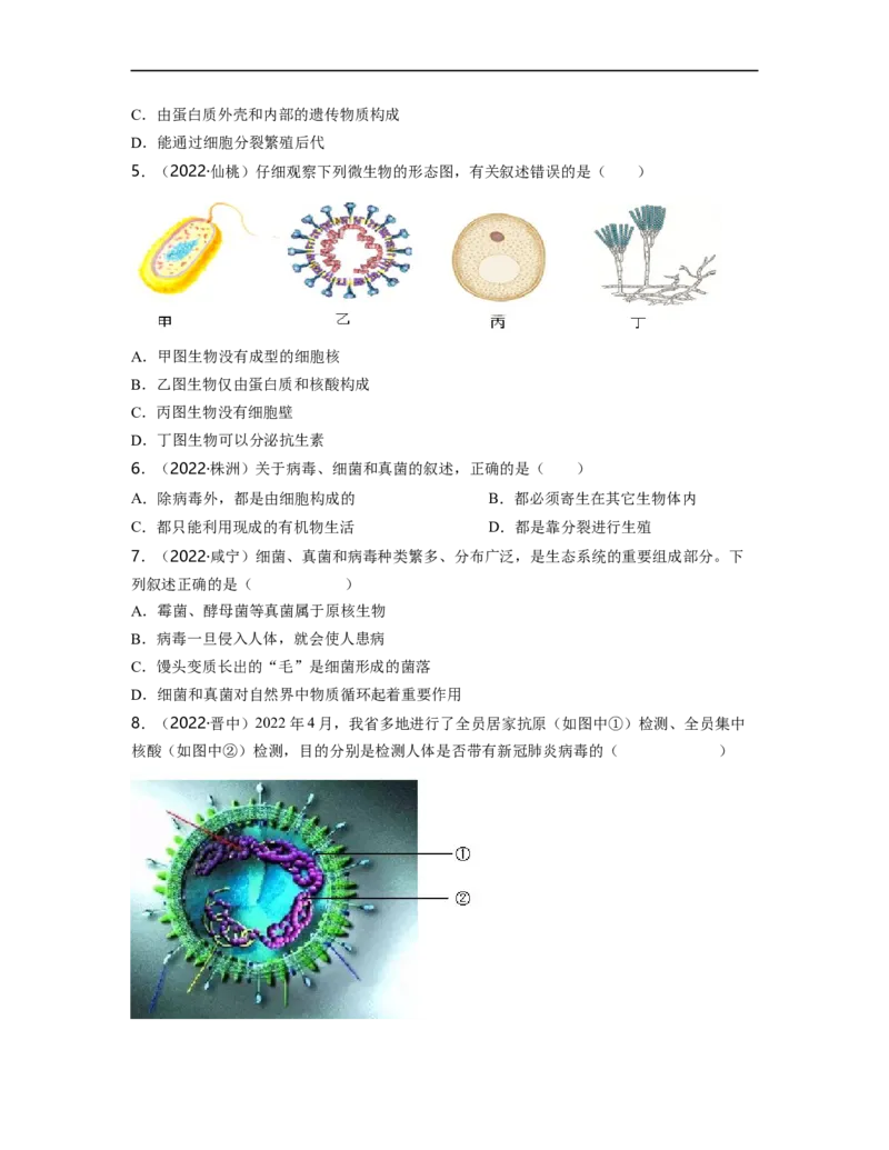 专题05生物圈中的其他生物（二）背诵清单+跟踪训练（学生版）_6生物中考复习_2023年中考复习资料_一轮复习_2023年中考生物一轮大单元复习过过过（全国通用）