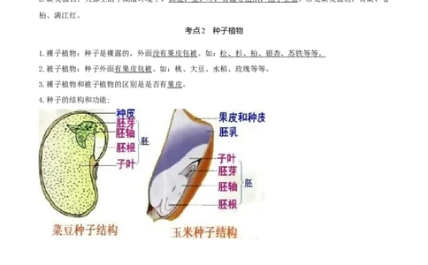 专题04生物圈中的绿色植物（知识帮）-备战2023年中考生物一轮复习考点帮（全国通用）_6生物中考复习_2023年中考复习资料_一轮复习