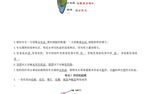 专题04生物圈中的绿色植物（知识帮）-备战2023年中考生物一轮复习考点帮（全国通用）_6生物中考复习_2023年中考复习资料_一轮复习