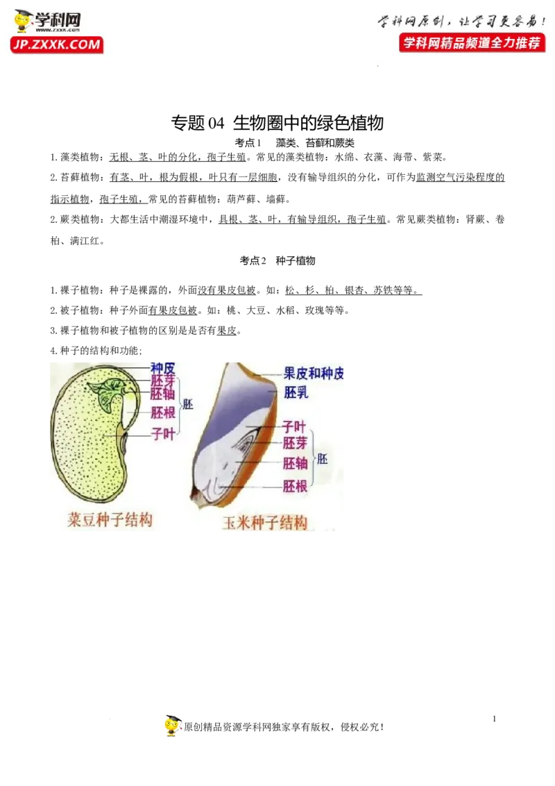 专题04生物圈中的绿色植物（知识帮）-备战2023年中考生物一轮复习考点帮（全国通用）_6生物中考复习_2023年中考复习资料_一轮复习