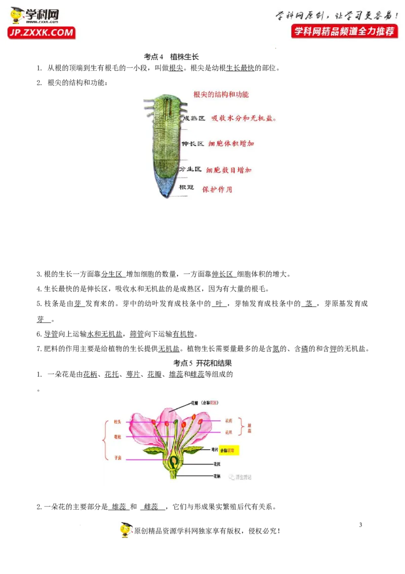 专题04生物圈中的绿色植物（知识帮）-备战2023年中考生物一轮复习考点帮（全国通用）_6生物中考复习_2023年中考复习资料_一轮复习