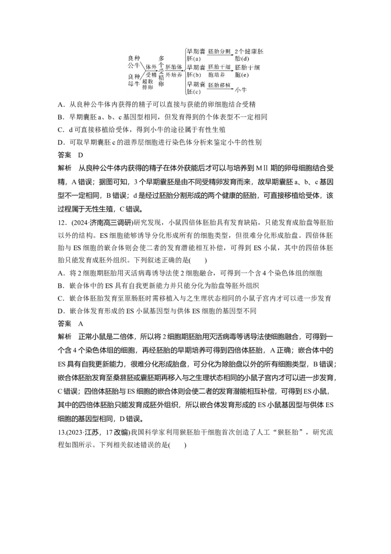 第十单元　第60课时　胚胎工程_2025年新高考资料_一轮复习_2025大一轮复习讲义+课件（完结）_2025大一轮复习讲义生物教师用书Word版文档整书_配套Word版文档第七~十单元