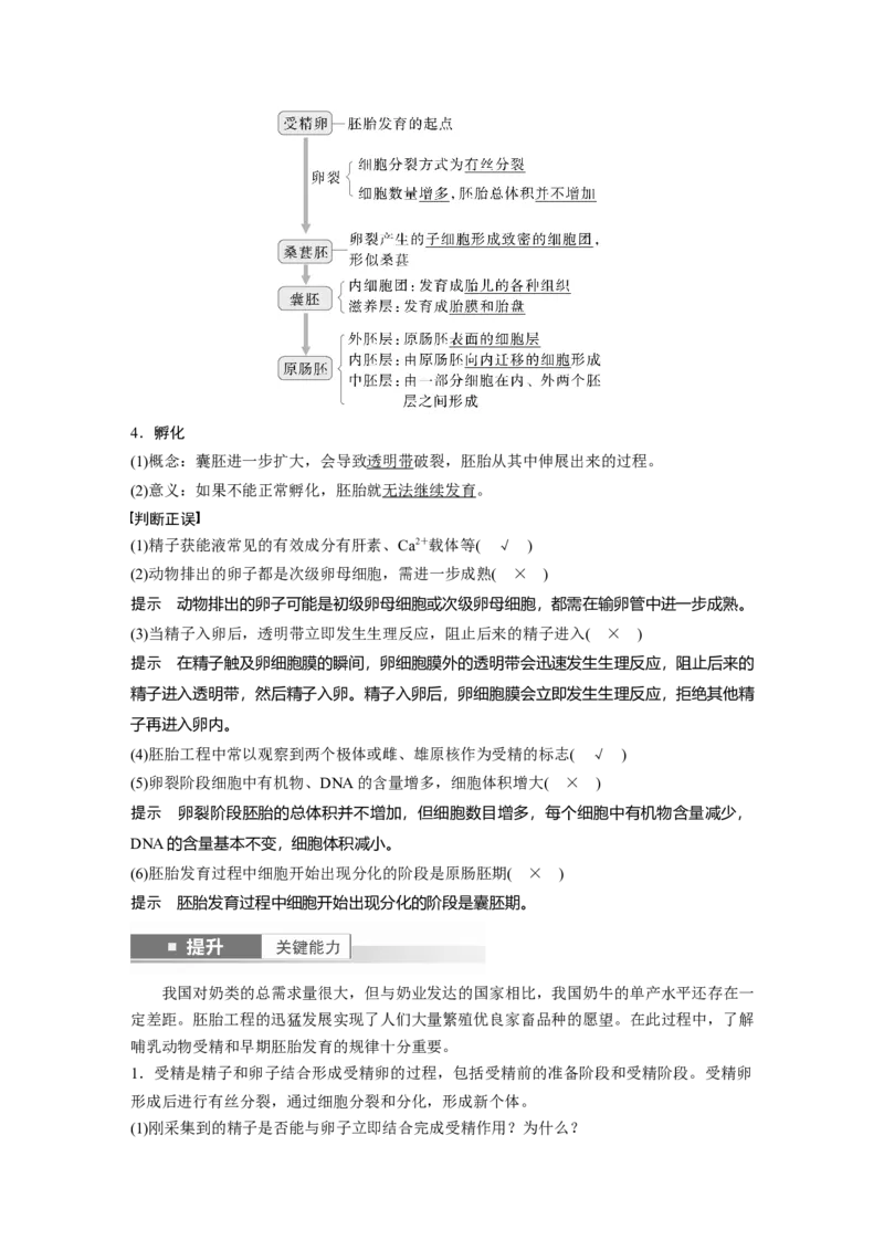 第十单元　第60课时　胚胎工程_2025年新高考资料_一轮复习_2025大一轮复习讲义+课件（完结）_2025大一轮复习讲义生物教师用书Word版文档整书_配套Word版文档第七~十单元