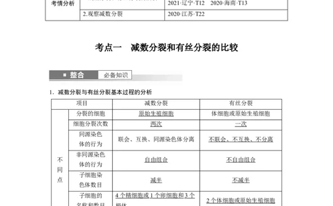 第四单元　第22课时　减数分裂与有丝分裂的比较及观察蝗虫精母细胞减数分裂装片_2025年新高考资料_一轮复习_2025大一轮复习讲义+课件（完结）_配套Word版文档第三~六单元