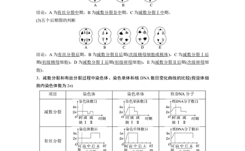 第四单元　第22课时　减数分裂与有丝分裂的比较及观察蝗虫精母细胞减数分裂装片_2025年新高考资料_一轮复习_2025大一轮复习讲义+课件（完结）_配套Word版文档第三~六单元