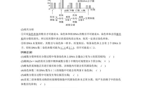 第四单元　第22课时　减数分裂与有丝分裂的比较及观察蝗虫精母细胞减数分裂装片_2025年新高考资料_一轮复习_2025大一轮复习讲义+课件（完结）_配套Word版文档第三~六单元