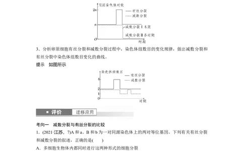 第四单元　第22课时　减数分裂与有丝分裂的比较及观察蝗虫精母细胞减数分裂装片_2025年新高考资料_一轮复习_2025大一轮复习讲义+课件（完结）_配套Word版文档第三~六单元