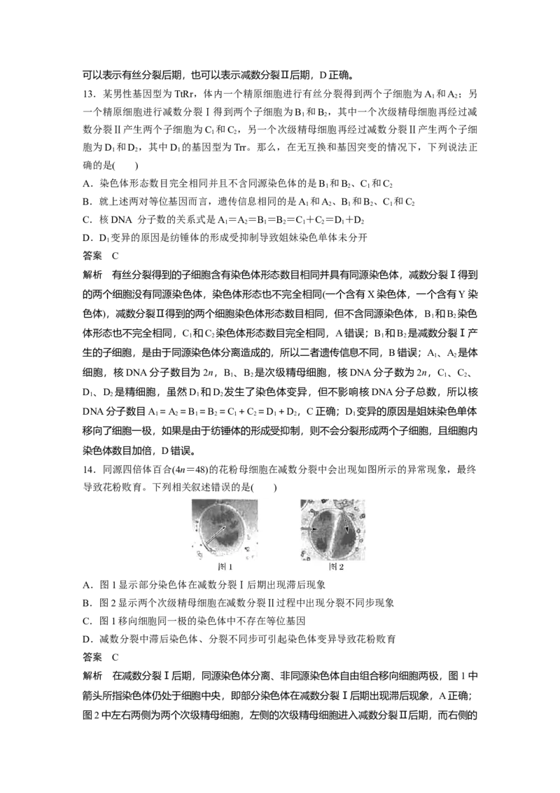 第四单元　第22课时　减数分裂与有丝分裂的比较及观察蝗虫精母细胞减数分裂装片_2025年新高考资料_一轮复习_2025大一轮复习讲义+课件（完结）_配套Word版文档第三~六单元