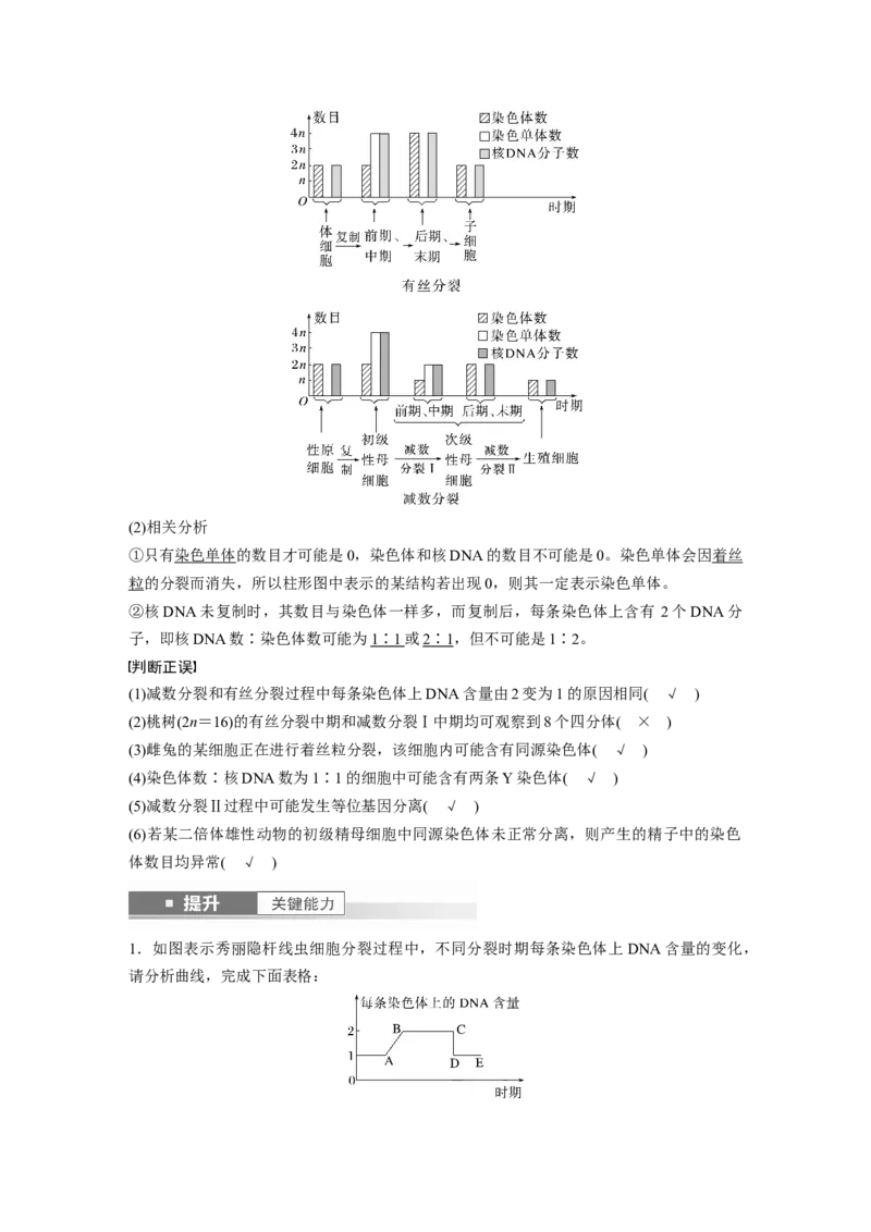 第四单元　第22课时　减数分裂与有丝分裂的比较及观察蝗虫精母细胞减数分裂装片_2025年新高考资料_一轮复习_2025大一轮复习讲义+课件（完结）_配套Word版文档第三~六单元