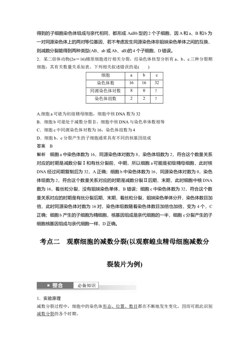 第四单元　第22课时　减数分裂与有丝分裂的比较及观察蝗虫精母细胞减数分裂装片_2025年新高考资料_一轮复习_2025大一轮复习讲义+课件（完结）_配套Word版文档第三~六单元