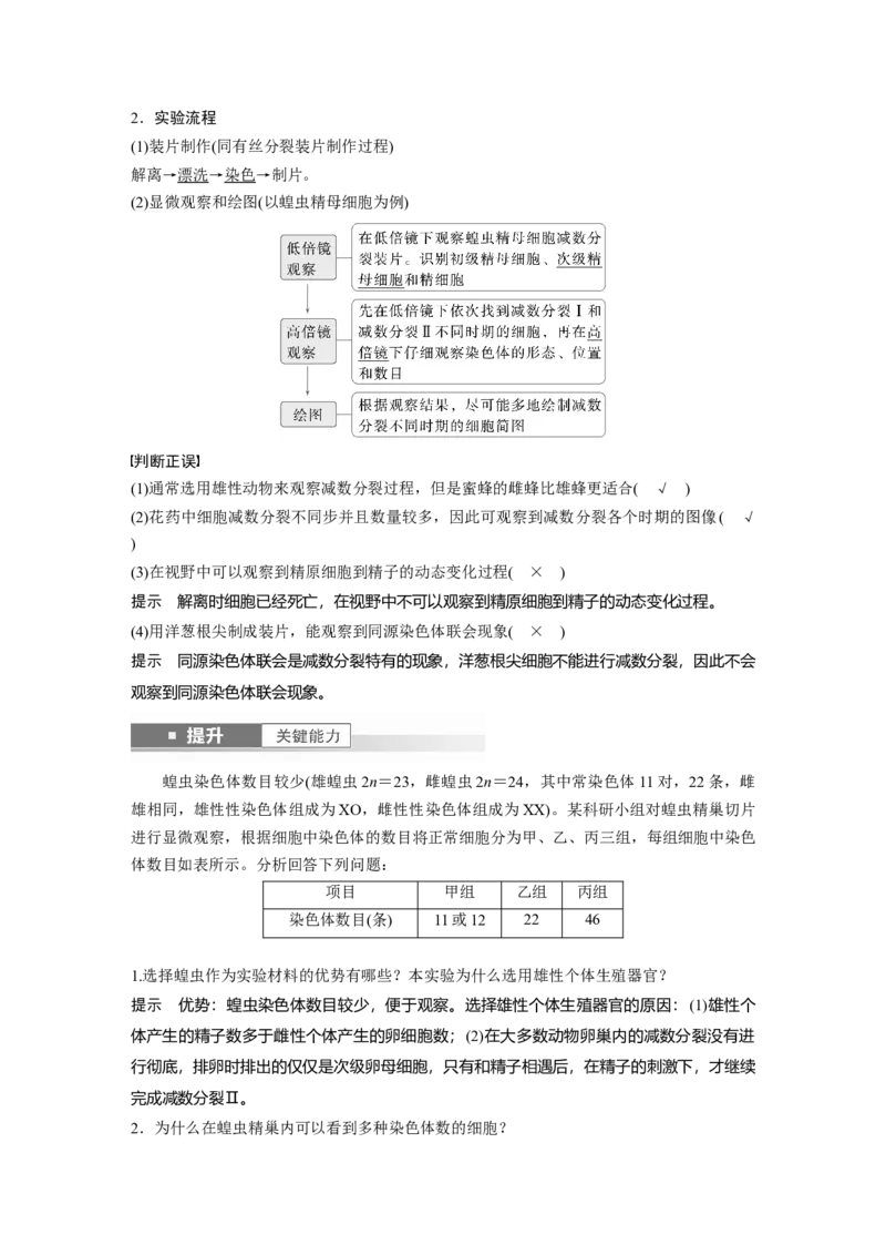 第四单元　第22课时　减数分裂与有丝分裂的比较及观察蝗虫精母细胞减数分裂装片_2025年新高考资料_一轮复习_2025大一轮复习讲义+课件（完结）_配套Word版文档第三~六单元