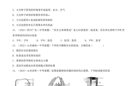 专题04生物圈中的绿色植物（习题帮）（原卷版）_6生物中考复习_2023年中考复习资料_一轮复习_备战2023年中考生物一轮复习考点帮（全国通用）288506454