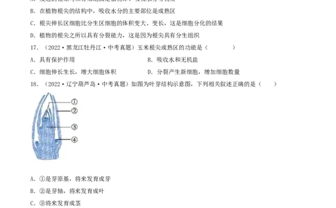 专题04生物圈中的绿色植物（习题帮）（原卷版）_6生物中考复习_2023年中考复习资料_一轮复习_备战2023年中考生物一轮复习考点帮（全国通用）288506454