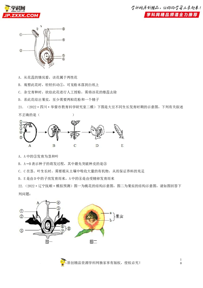 专题04生物圈中的绿色植物（习题帮）（原卷版）_6生物中考复习_2023年中考复习资料_一轮复习_备战2023年中考生物一轮复习考点帮（全国通用）288506454