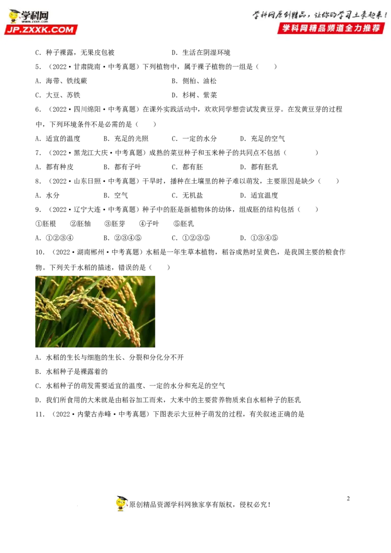 专题04生物圈中的绿色植物（习题帮）（原卷版）_6生物中考复习_2023年中考复习资料_一轮复习_备战2023年中考生物一轮复习考点帮（全国通用）288506454