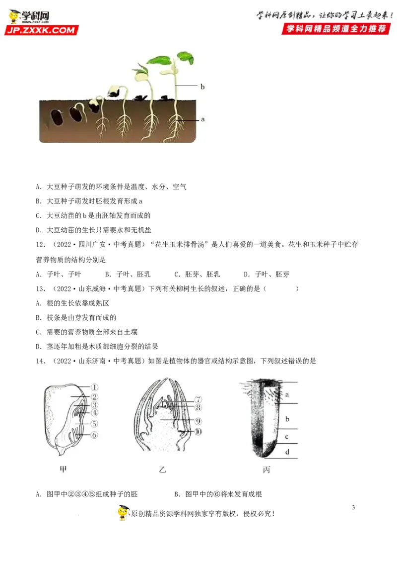 专题04生物圈中的绿色植物（习题帮）（原卷版）_6生物中考复习_2023年中考复习资料_一轮复习_备战2023年中考生物一轮复习考点帮（全国通用）288506454