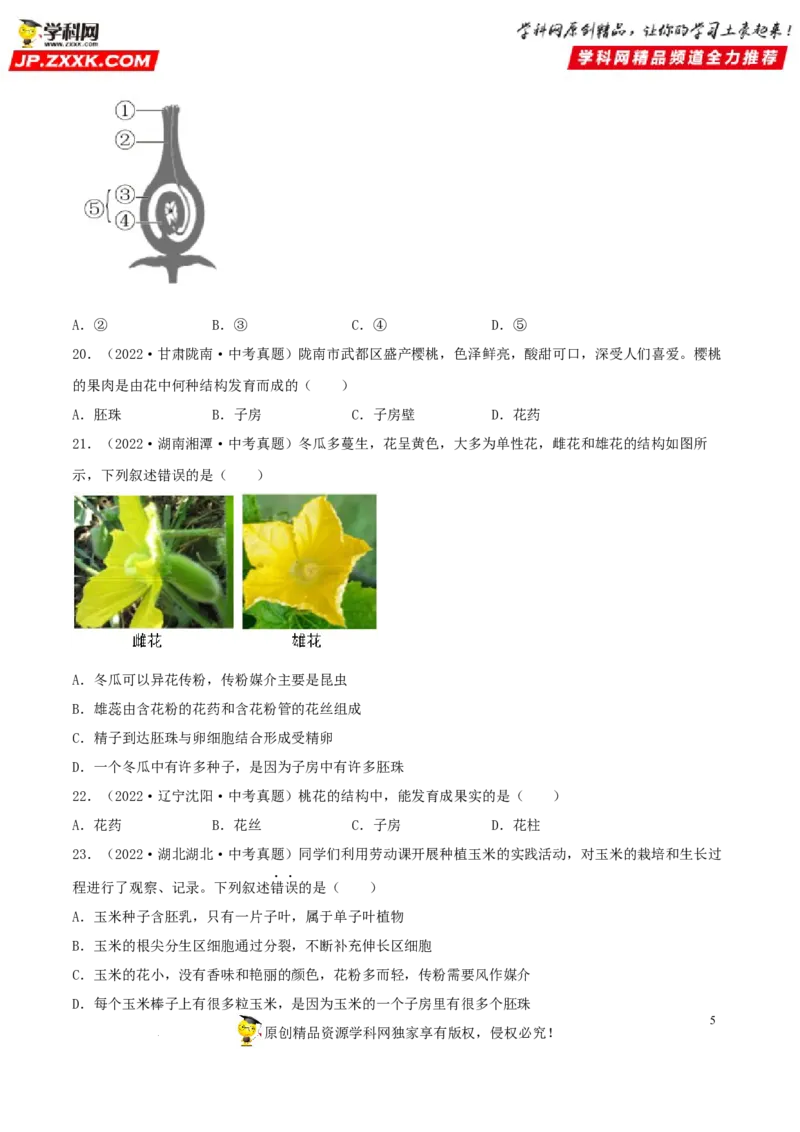 专题04生物圈中的绿色植物（习题帮）（原卷版）_6生物中考复习_2023年中考复习资料_一轮复习_备战2023年中考生物一轮复习考点帮（全国通用）288506454