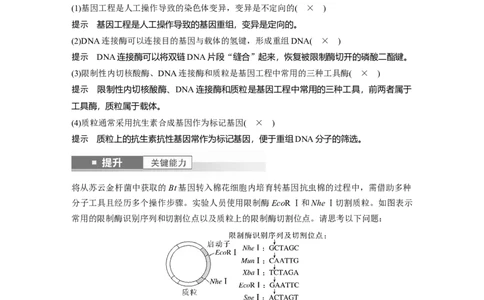 第十单元　第61课时　基因工程的基本工具和基本操作程序_2025年新高考资料_一轮复习_2025大一轮复习讲义+课件（完结）_2025大一轮复习讲义生物教师用书Word版文档整书