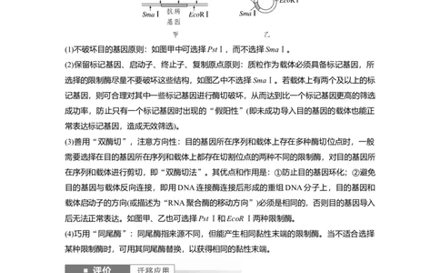 第十单元　第61课时　基因工程的基本工具和基本操作程序_2025年新高考资料_一轮复习_2025大一轮复习讲义+课件（完结）_2025大一轮复习讲义生物教师用书Word版文档整书