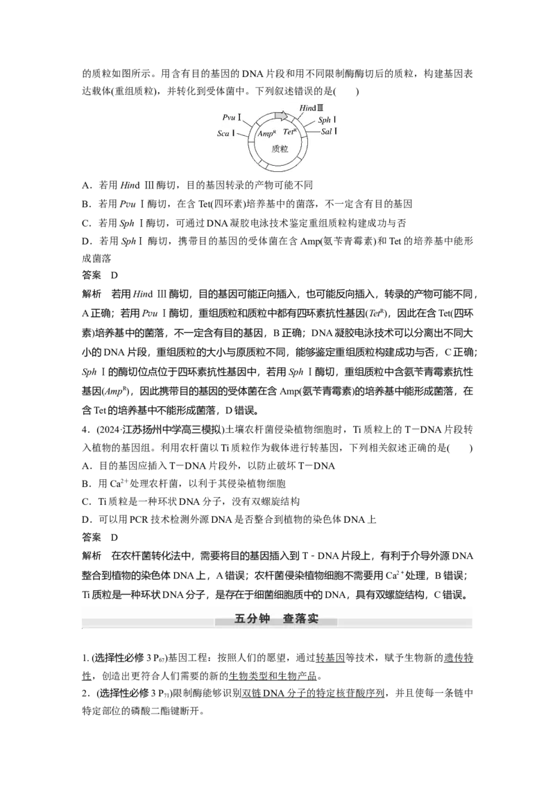 第十单元　第61课时　基因工程的基本工具和基本操作程序_2025年新高考资料_一轮复习_2025大一轮复习讲义+课件（完结）_2025大一轮复习讲义生物教师用书Word版文档整书