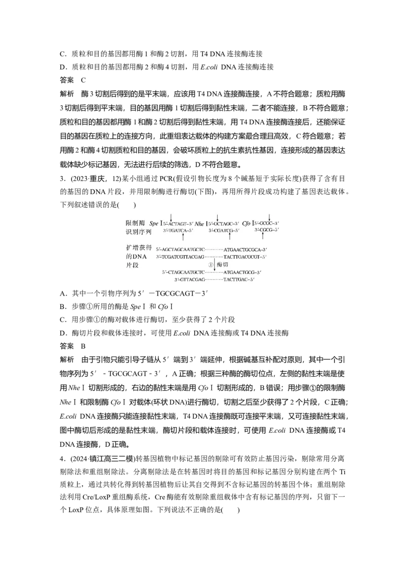 第十单元　第61课时　基因工程的基本工具和基本操作程序_2025年新高考资料_一轮复习_2025大一轮复习讲义+课件（完结）_2025大一轮复习讲义生物教师用书Word版文档整书