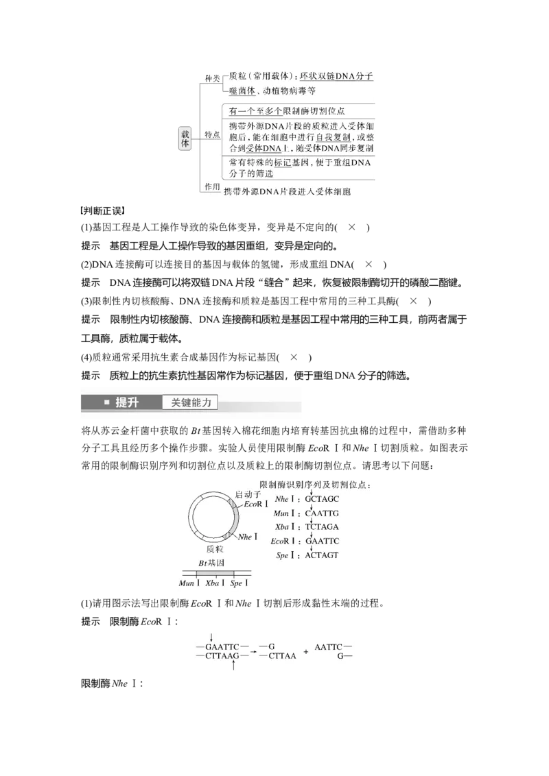 第十单元　第61课时　基因工程的基本工具和基本操作程序_2025年新高考资料_一轮复习_2025大一轮复习讲义+课件（完结）_2025大一轮复习讲义生物教师用书Word版文档整书