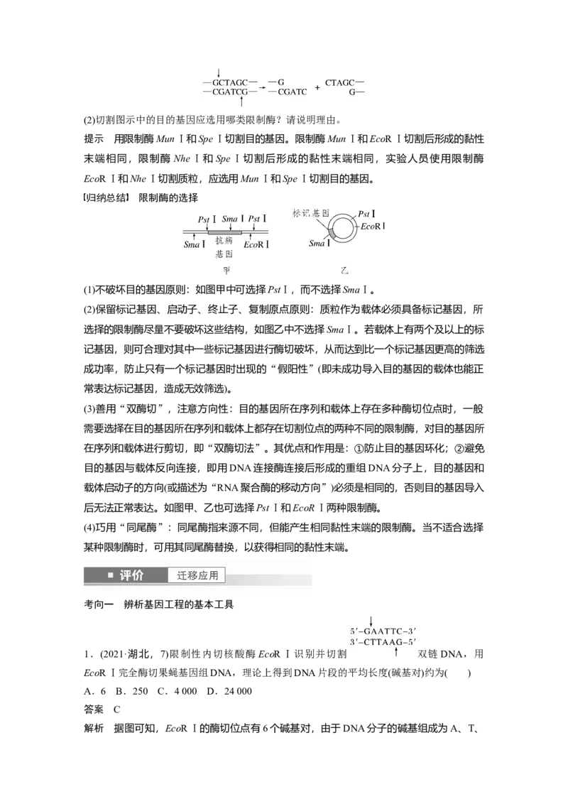 第十单元　第61课时　基因工程的基本工具和基本操作程序_2025年新高考资料_一轮复习_2025大一轮复习讲义+课件（完结）_2025大一轮复习讲义生物教师用书Word版文档整书