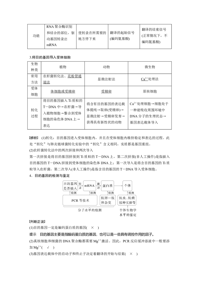 第十单元　第61课时　基因工程的基本工具和基本操作程序_2025年新高考资料_一轮复习_2025大一轮复习讲义+课件（完结）_2025大一轮复习讲义生物教师用书Word版文档整书