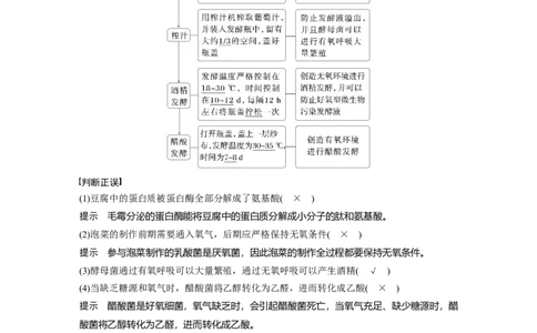 第十单元　第56课时　传统发酵技术的应用、发酵工程及其应用_2025年新高考资料_一轮复习_2025大一轮复习讲义+课件（完结）_2025大一轮复习讲义生物教师用书Word版文档整书