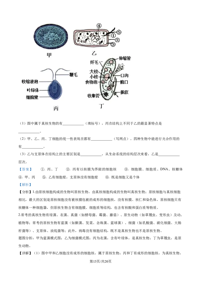 精品解析：内蒙古通辽市第一中学2025-2026学年高一上学期第一次月考生物试题（解析版）_2025年10月高一试卷_251012内蒙古通辽市第一中学2025-2026学年高一上学期第一次月考