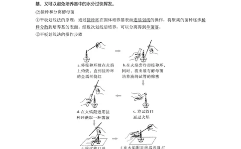第十单元　第57课时　微生物的培养技术与应用_新高考复习资料_2025年新高考资料_2025新高考一轮复习生物_2025大一轮复习讲义生物人教版教师用书Word版文档整书